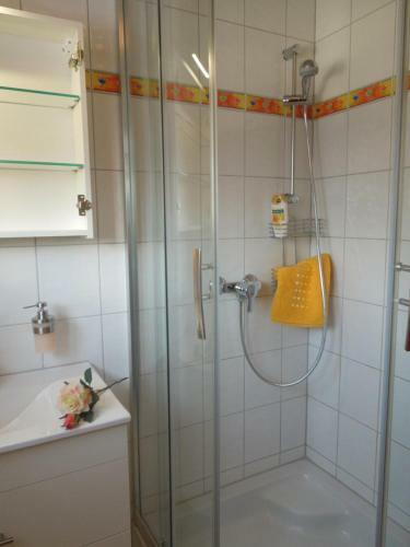 Apartement Metzler Susanne