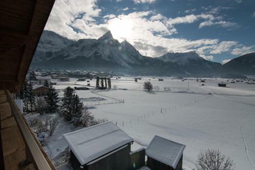 Mellow Mountain Hostel