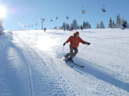 Koralpe Chalet
