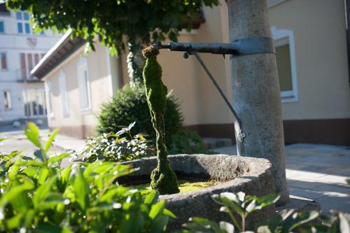 Hotel V�senhuber