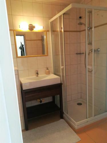 Apartamento Flachau Appartement