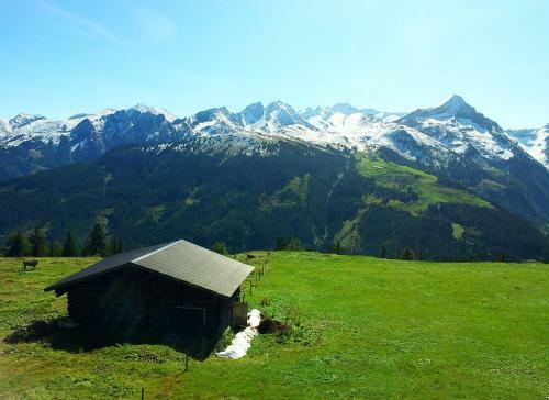 Alpenrose Hotel-garni