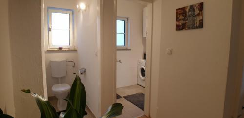 Amazing Apartment 2