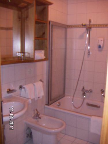 Alpenhotel G�sing