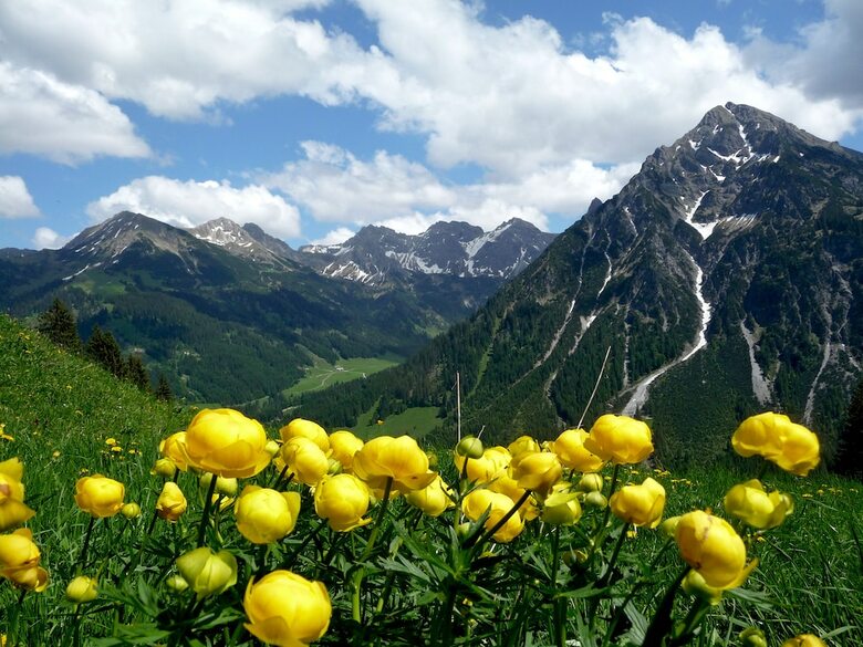 Apartamento Alp-chalet
