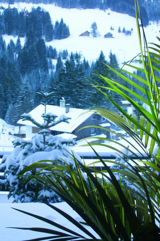 Apartamento Alp-chalet