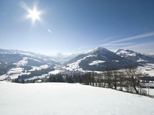 Apartamento Alp Zentral
