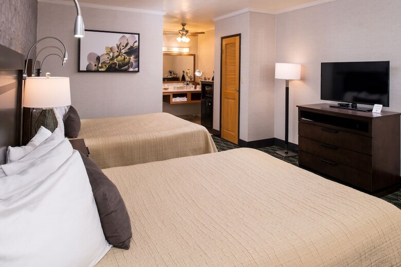 Hotel Best Western Plus Black Oak
