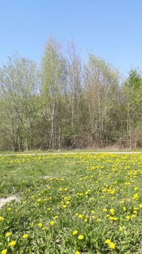 Apartamento Appartement Am Schaalsee