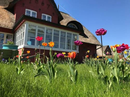 Apartamento H�s Sanskiin Ferienwohnung *driiwholt*