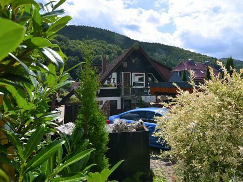 Large Apartment Near Ski Slopes In Herzberg