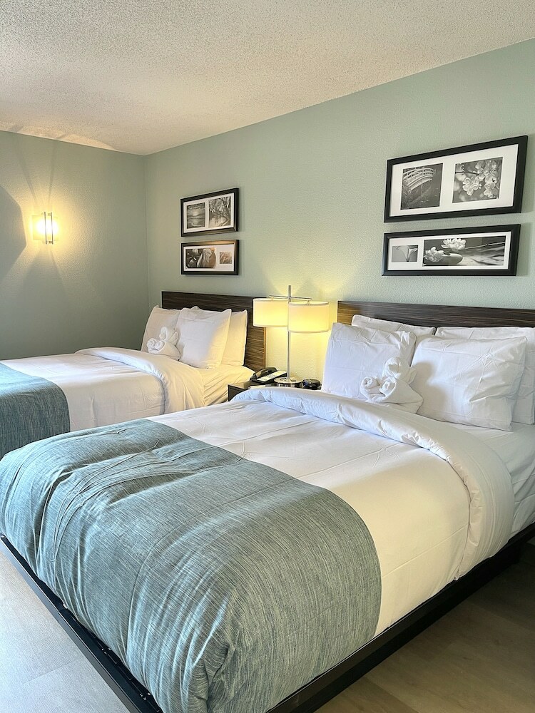 Hotel Sleep Inn Salisbury