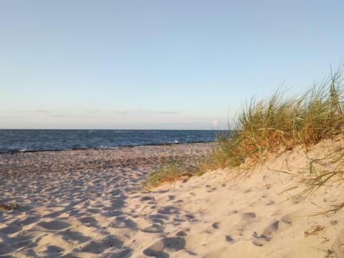 Lovely Apartment In Neubukow Near Sea