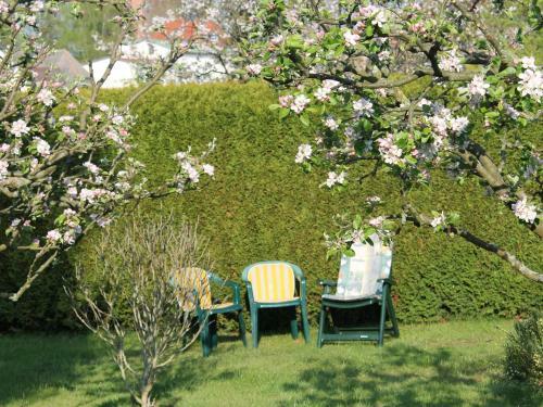 Cozy Apartment With Garden, Barbecue, Bicycle Storage