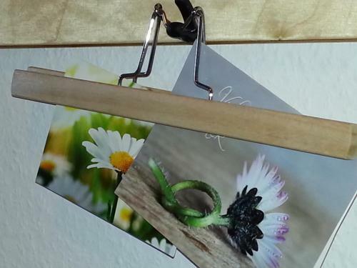 Apartamento Ferienhaus Emstal