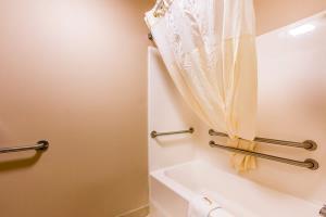Hotel Quality Inn & Suites Chesterfield Village