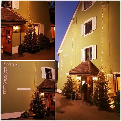 Hotel Gasthaus R�ssle