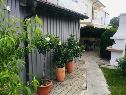 Bodensee Apartment Friedrichshafen Casa Peppino