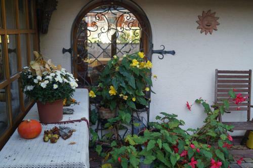Hostal Pension Sch�ler