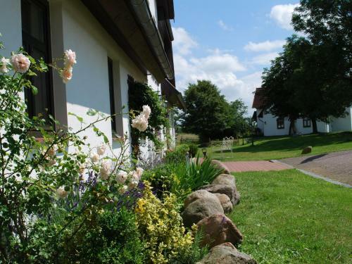 Quaint Apartment With Swimming Pool In Mecklenburg