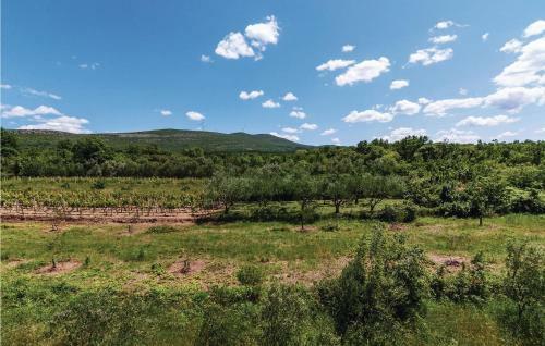 Apartment Ribnica-krusevo With Sea View IX
