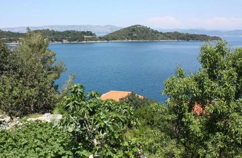 Apartments With A Parking Space Sobra (mljet) - 4926