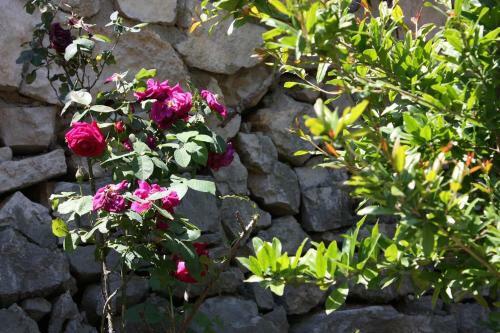 Apartments With A Parking Space Sobra (mljet) - 4926