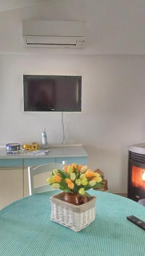 Apartment In Zdrelac/insel Pasman 6921