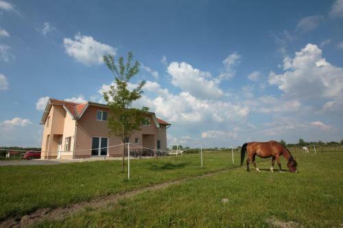 Hostal Triple Room Bilje 14318d