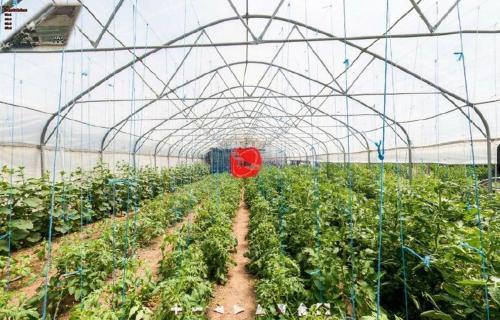 Agroturismo Farm Stay Orlov Put