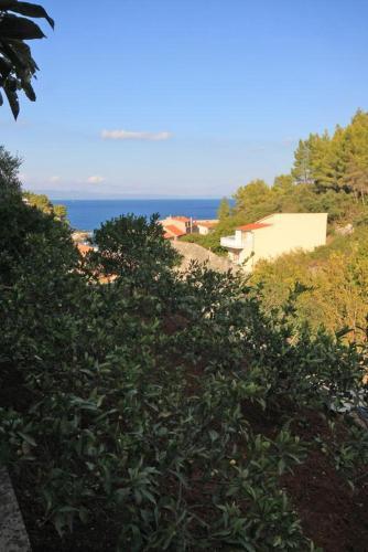 Apartamentos Studio Prigradica 9288b