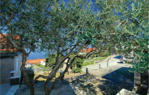 Apartment Prigradica O-525