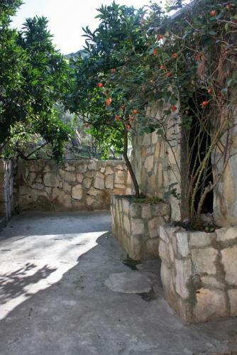 Apartment Uvala Zavala 5717a