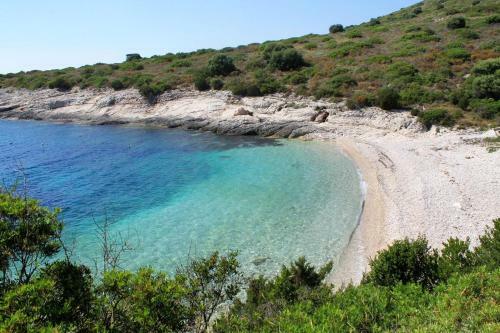 Apartment Savar 8128c