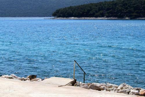 Apartments By The Sea Brgulje (Molat) - 6250