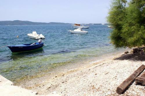 Apartment Brodarica 4195a