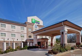 Hotel Holiday Inn Express Palestine