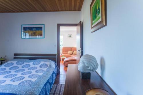 Apartment In Cavle 33771