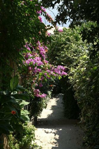 Apartments By The Sea Stanici (Omis) - 1026