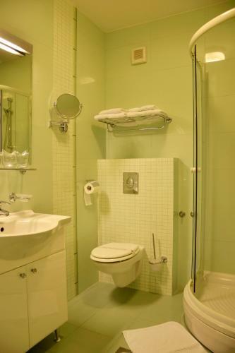 Hotel Mladimir