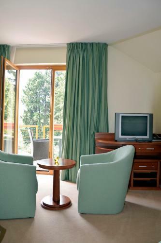 Hotel Mladimir