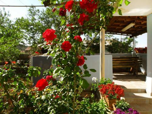 Holiday Home Antonela