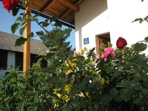 Apartamentos House Nada