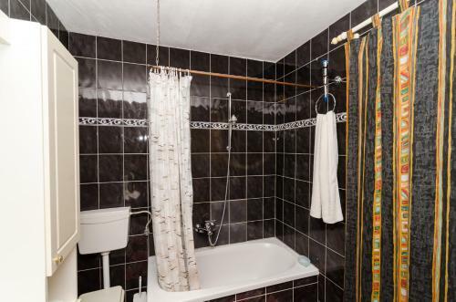 Apartments Leme?