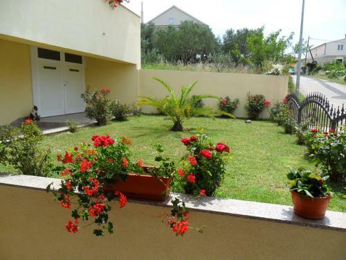 Two-bedroom Apartment In Drage I