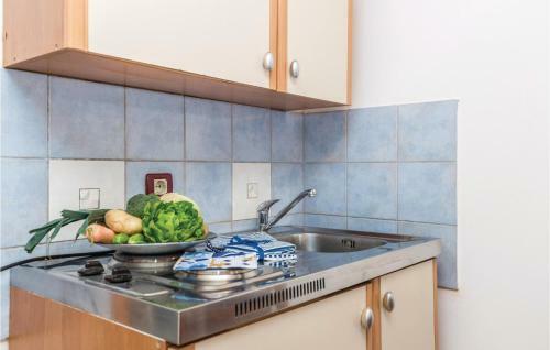 Two-bedroom Apartment In Drazice