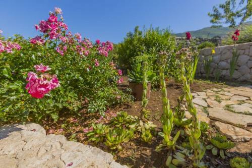 Luxury Villa Stone House Serenity