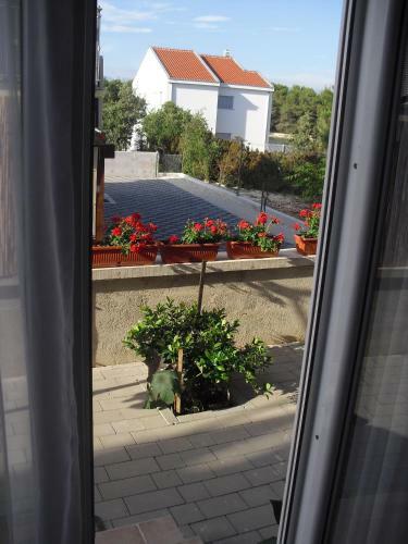 Apartments Sanja