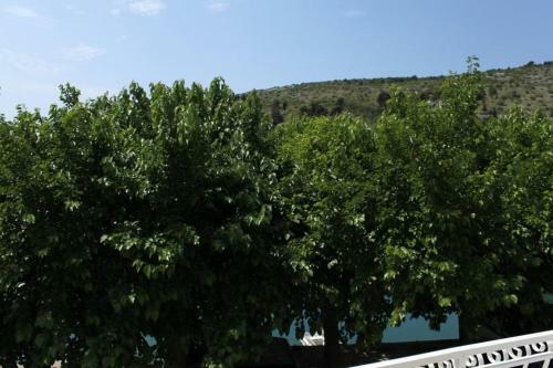 Apartment Zaton 6480a