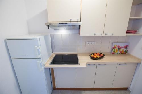 Apartments Rakic